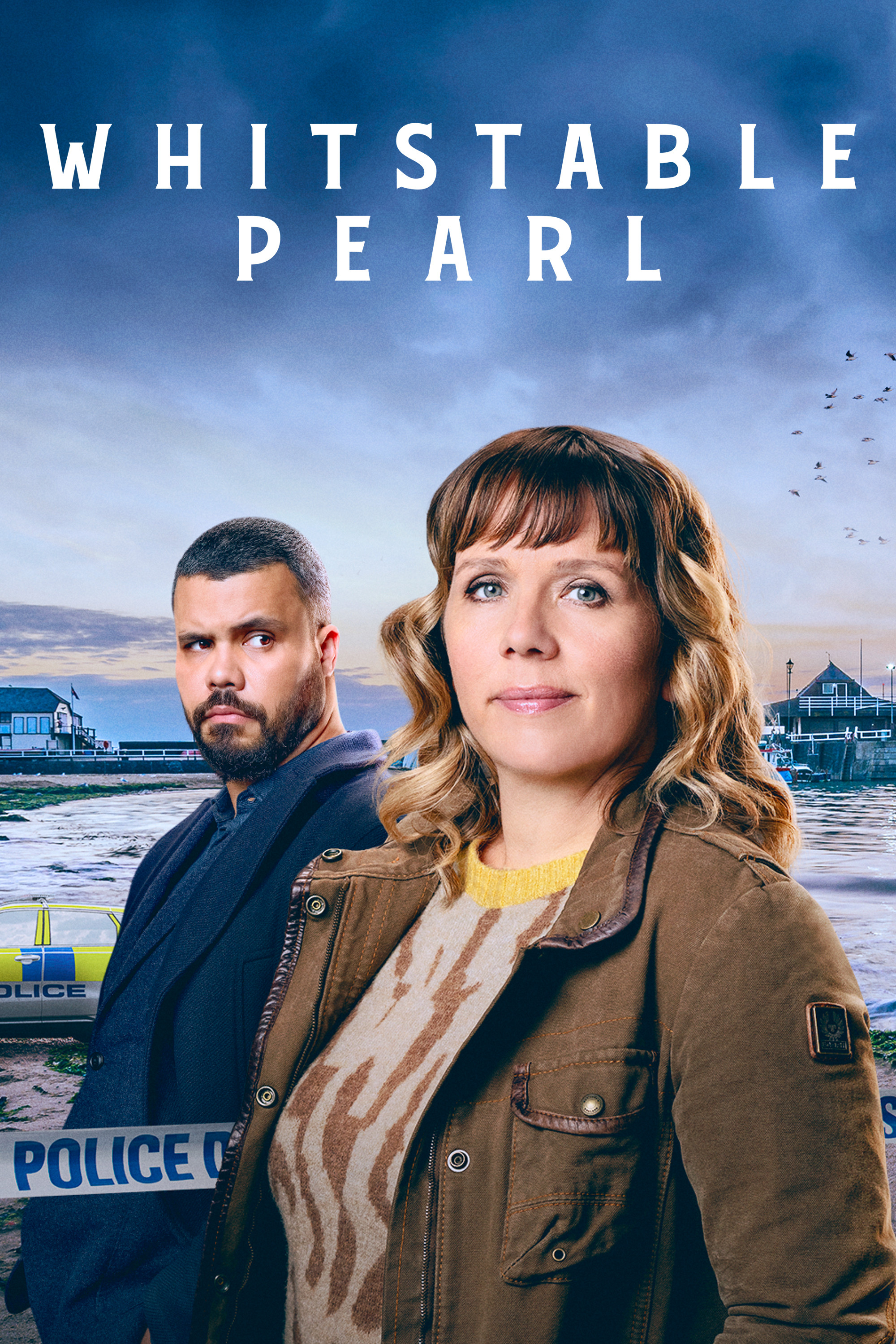 Ver Los casos de Pearl Nolan serie online