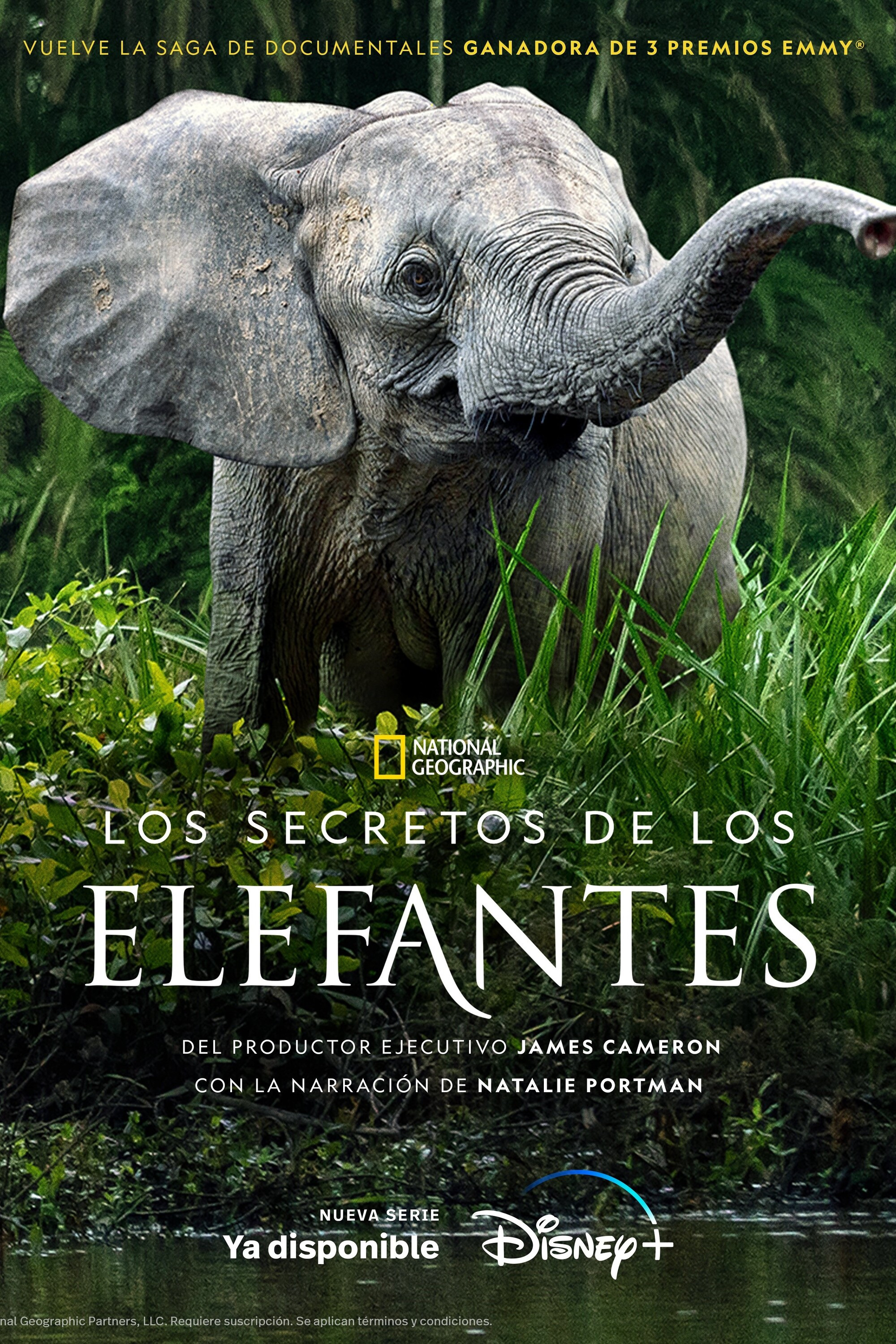 Ver Los secretos de los elefantes serie online