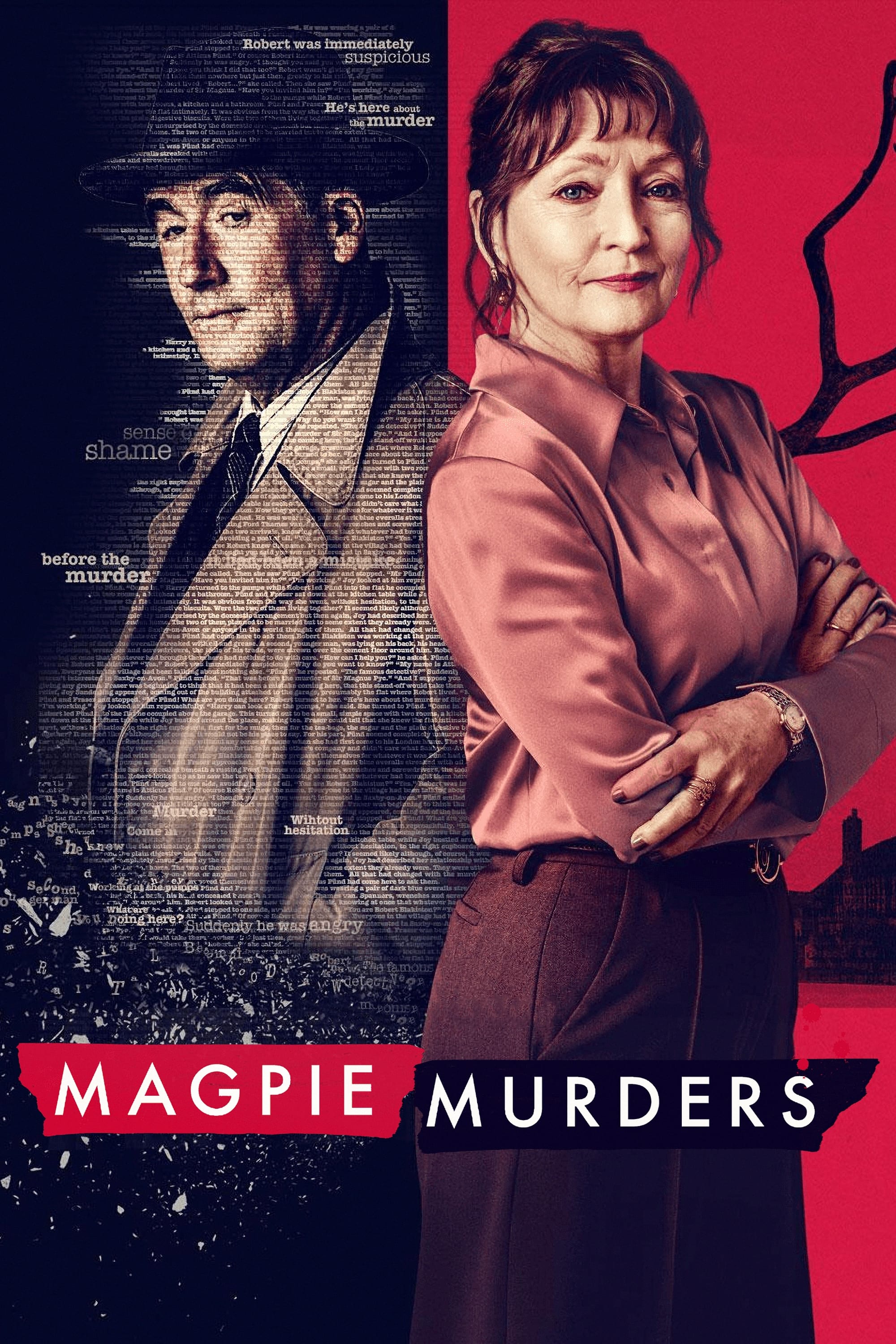 Ver Magpie Murders serie online