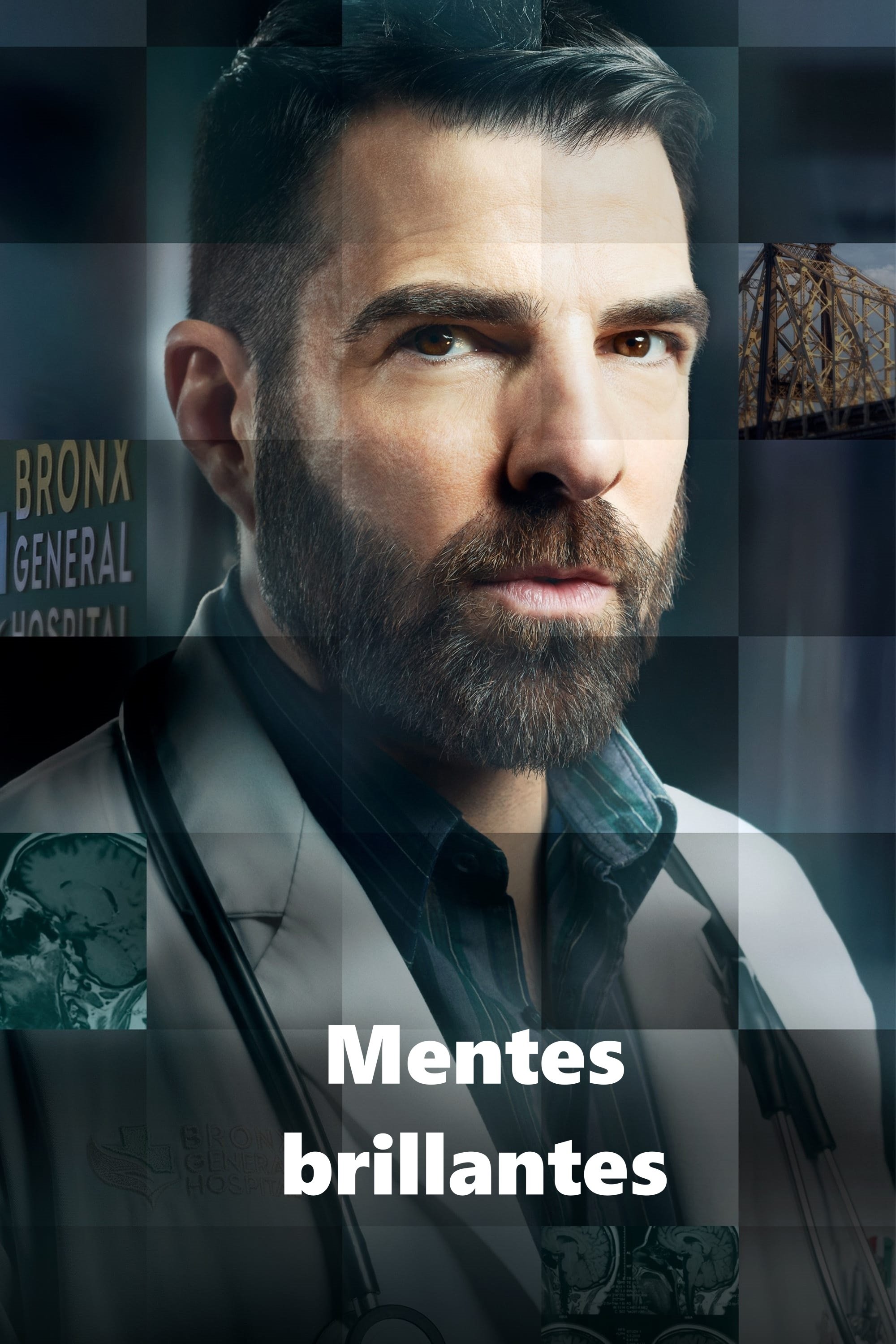 Ver Mentes brillantes serie online
