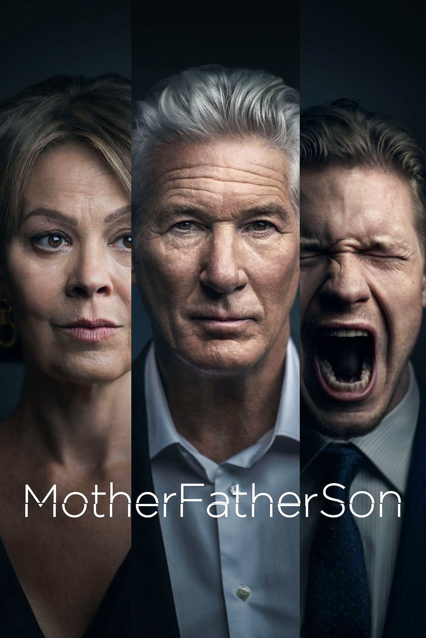 Ver MotherFatherSon serie online