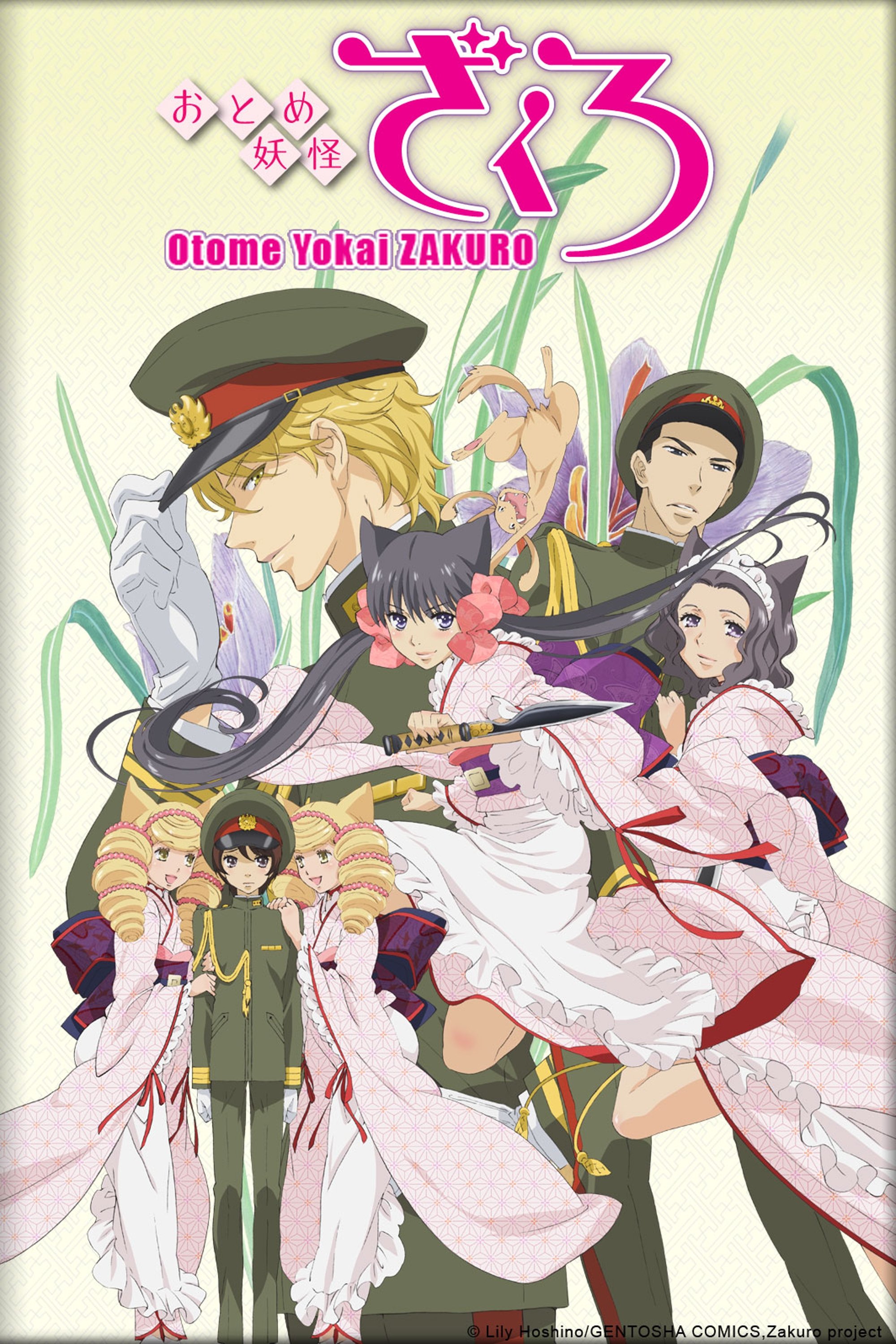 Ver Otome Youkai Zakuro serie online