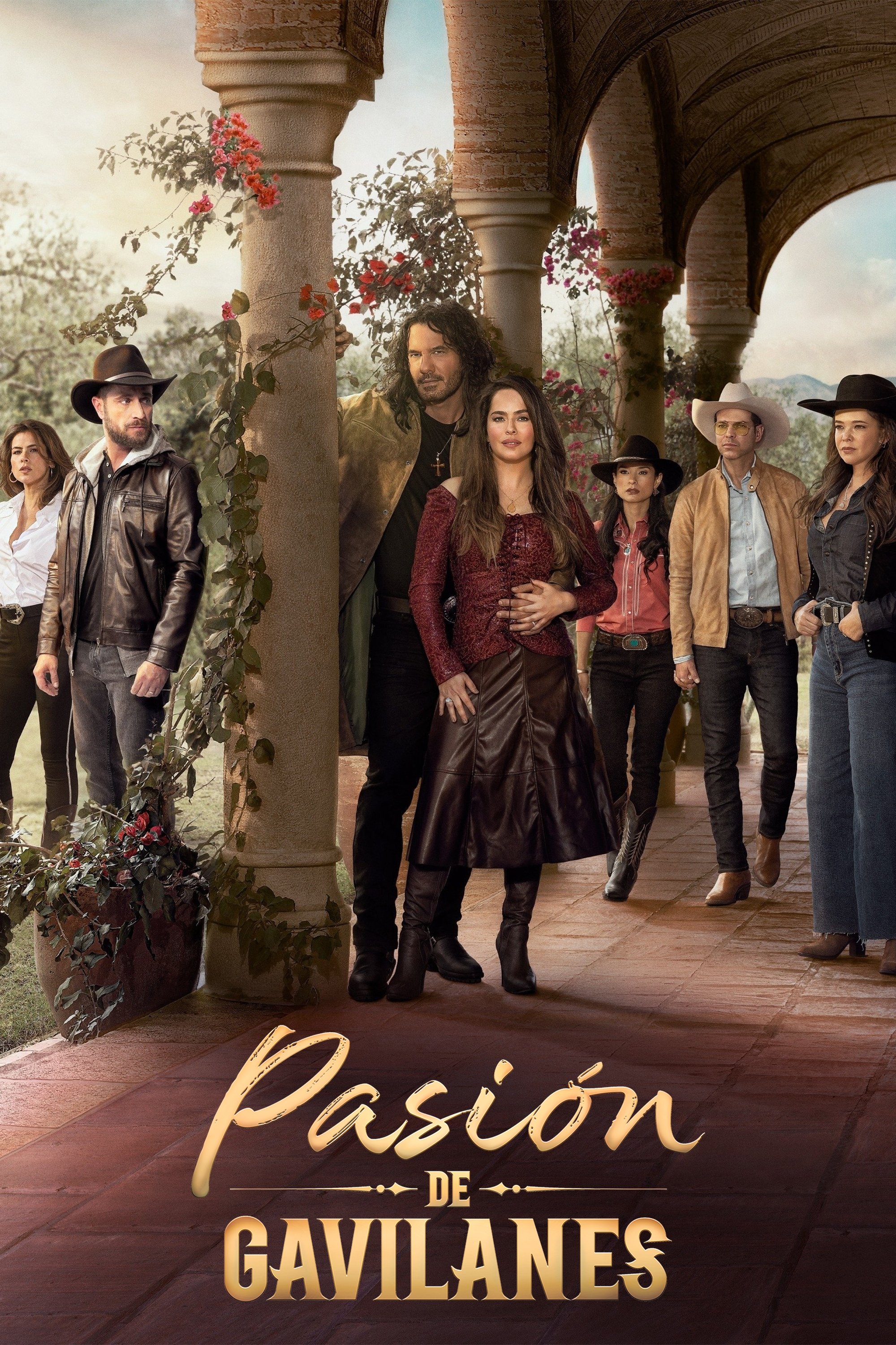 Ver Pasión de gavilanes serie online
