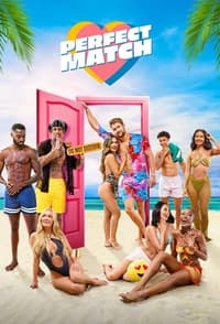 Ver Perfect Match serie online