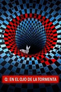 Ver Q, en el ojo de la tormenta serie online
