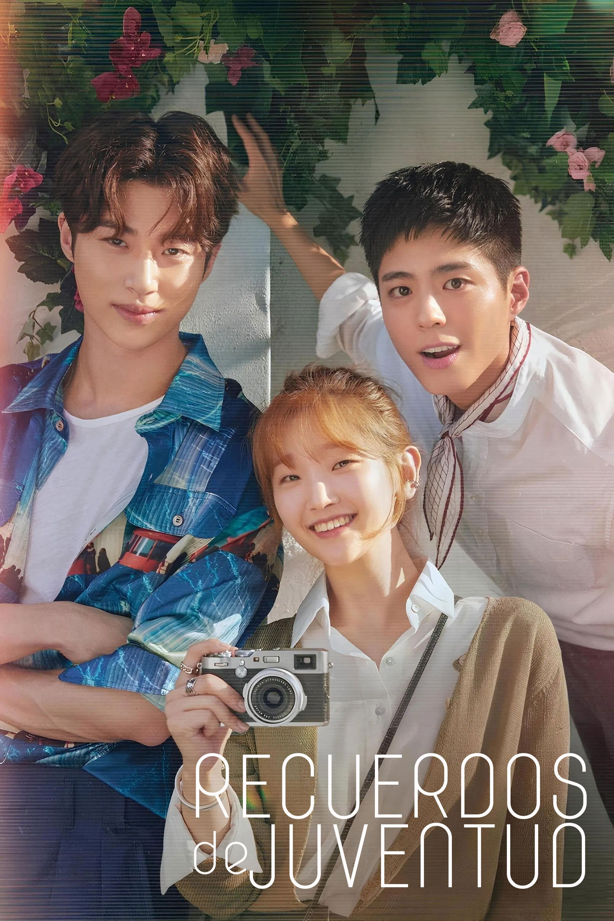Ver Recuerdos de juventud serie online