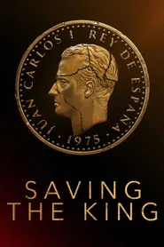 Ver Salvar al Rey serie online