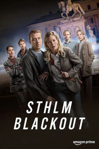 Ver STHLM Blackout serie online