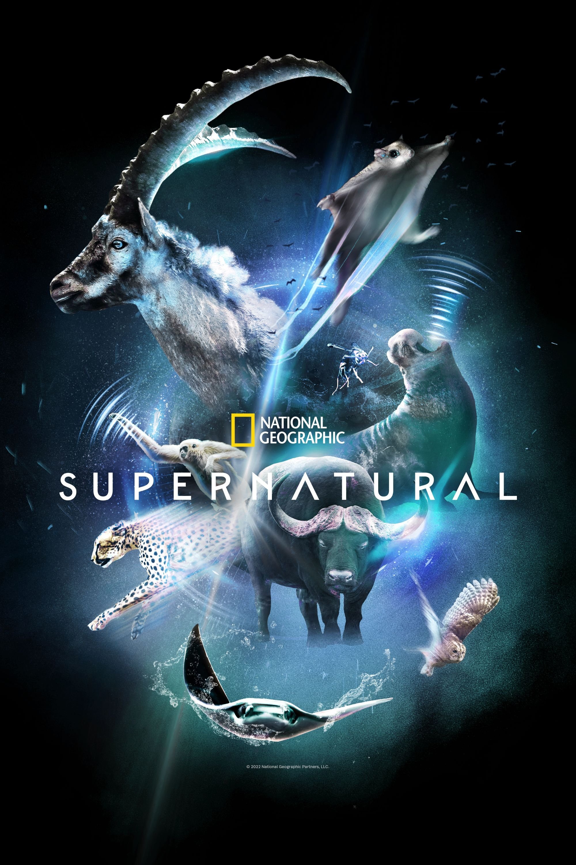 Ver Super/Natural serie online