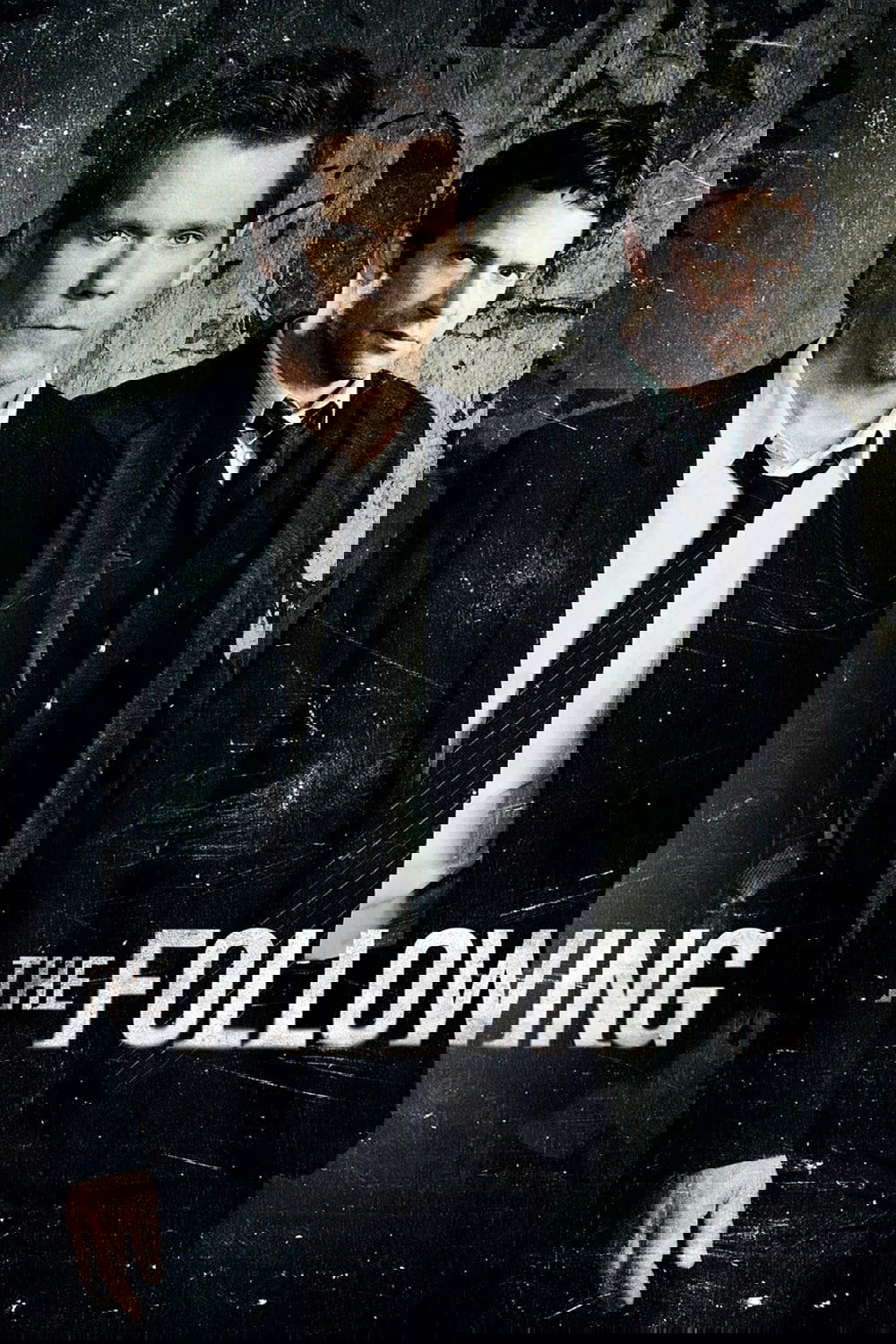 Ver The Following serie online