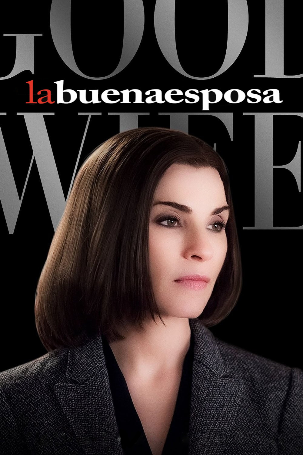Ver The Good Wife serie online