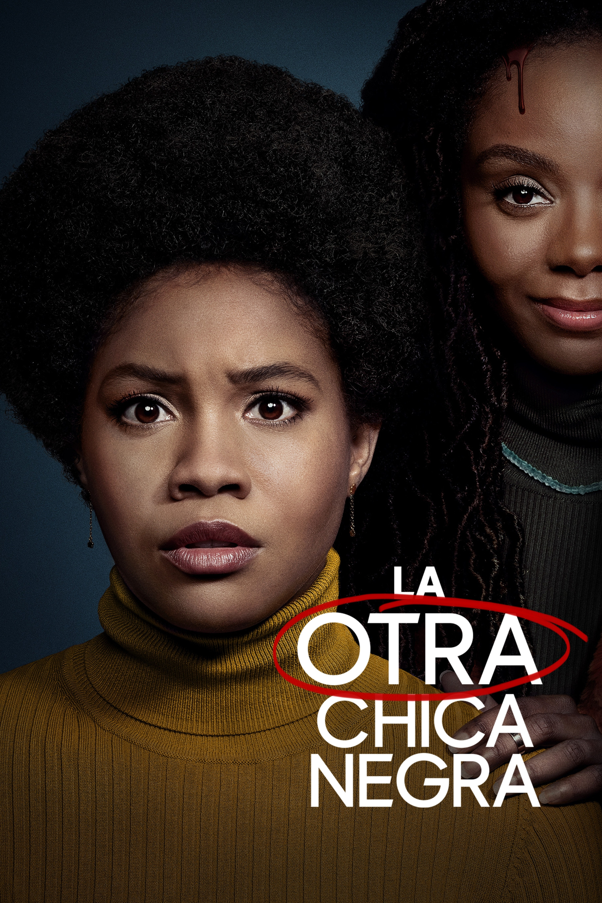Ver The Other Black Girl serie online