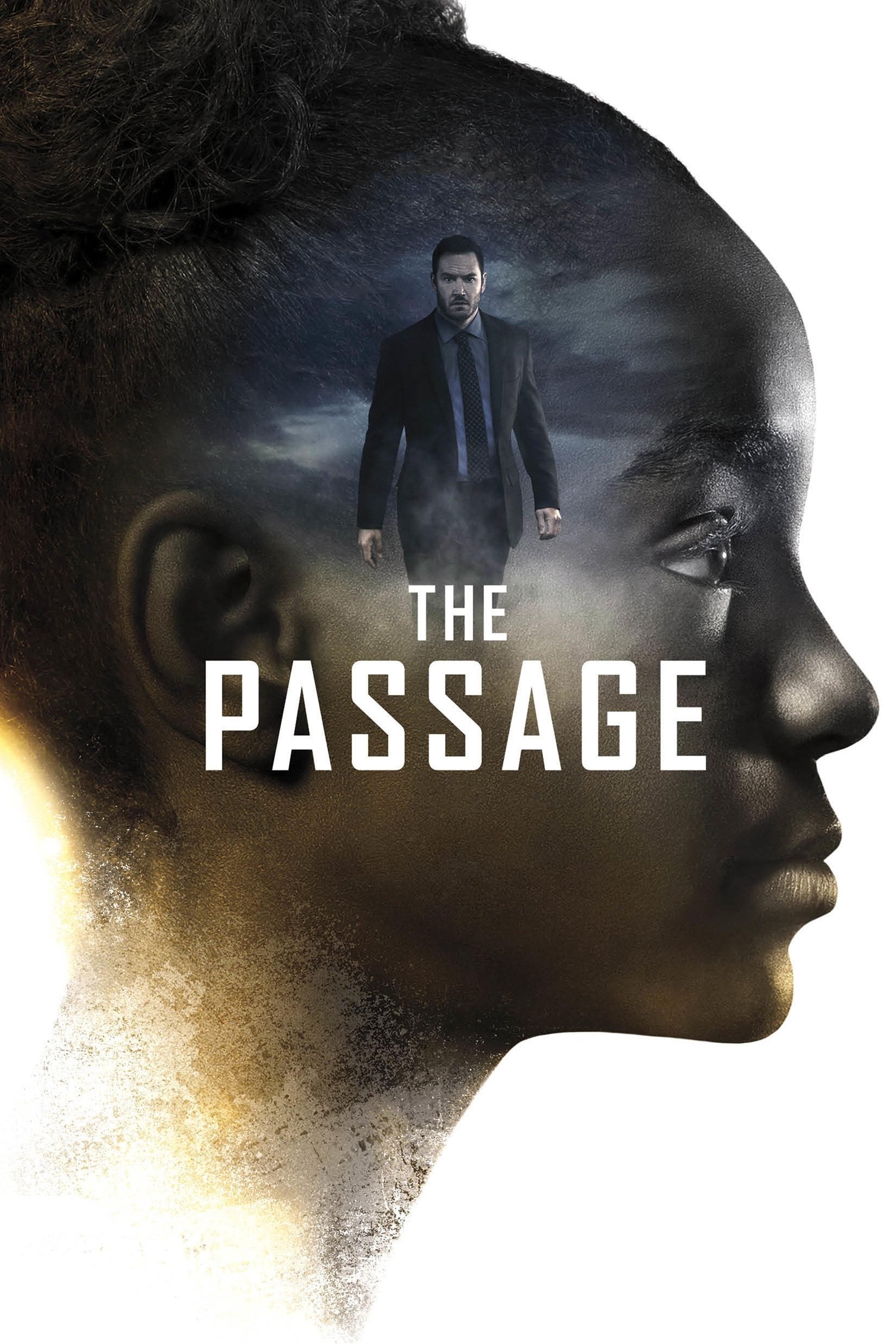 Ver The Passage serie online