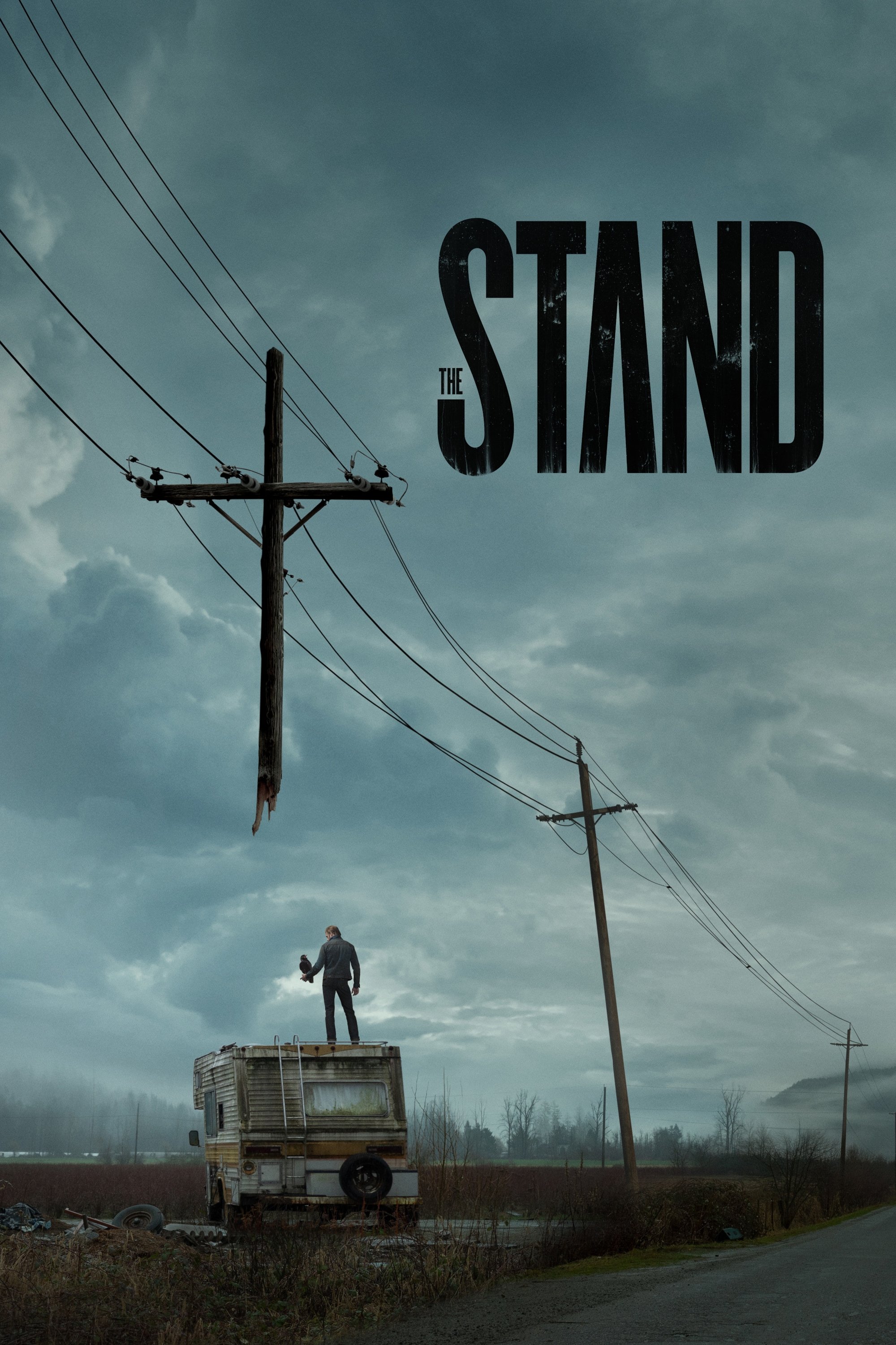 Ver The Stand serie online