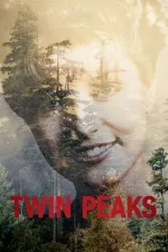 Ver Twin Peaks serie online