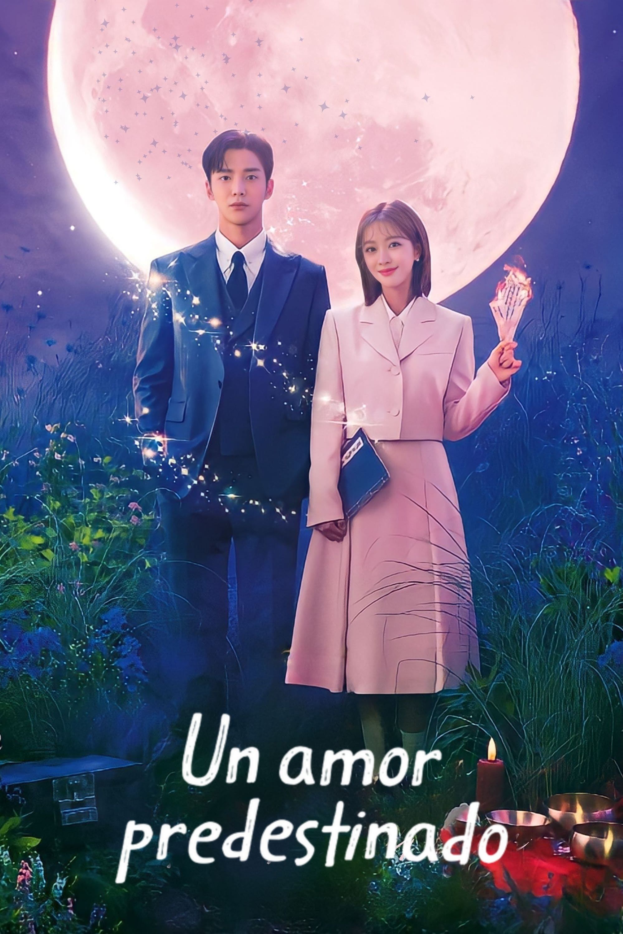 Ver Un amor predestinado serie online
