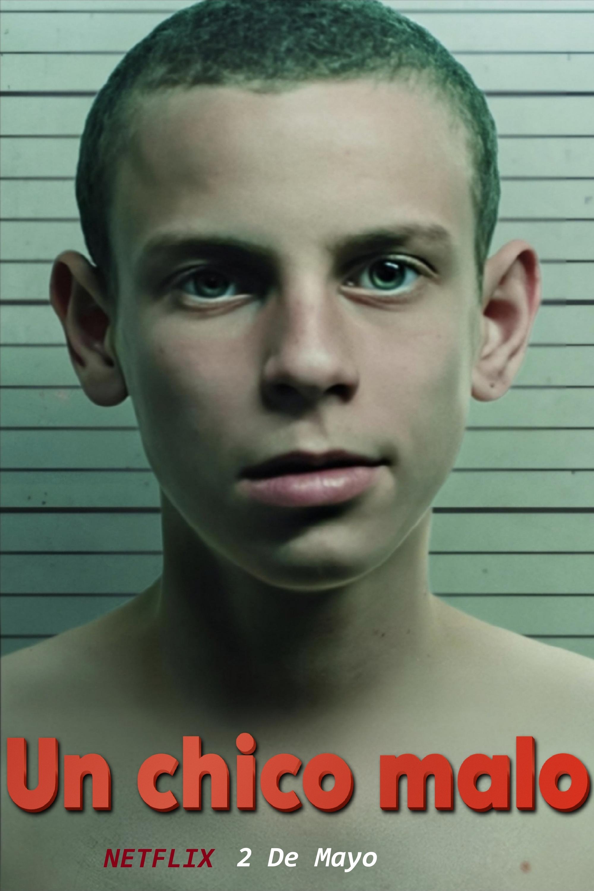 Ver Un chico malo serie online