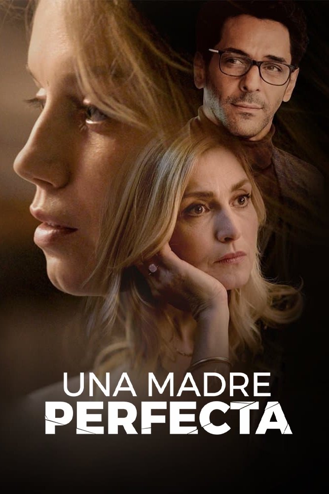 Ver Una madre perfecta serie online