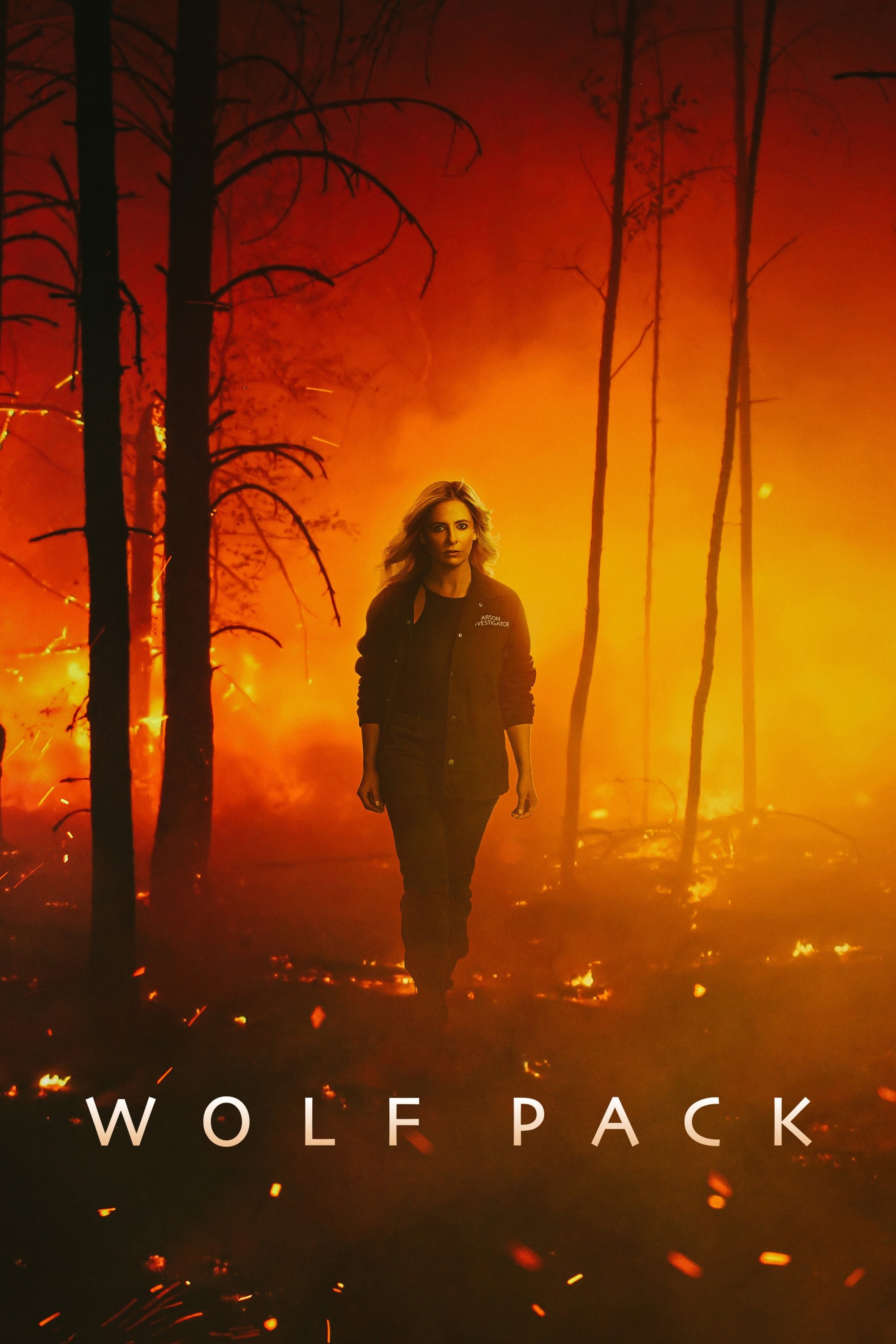 Ver Wolf Pack serie online