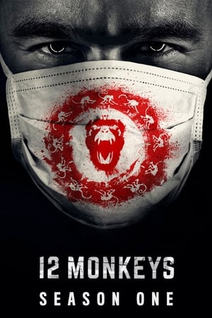 12 monos