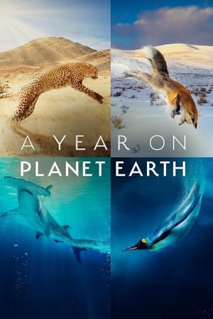Ver A Year on Planet Earth