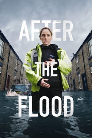Ver After the Flood