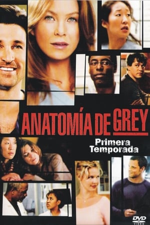 Anatomía de Grey
