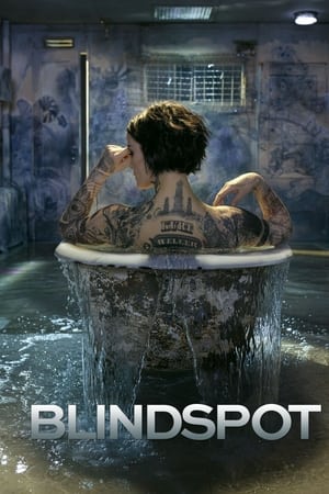 Ver Blindspot