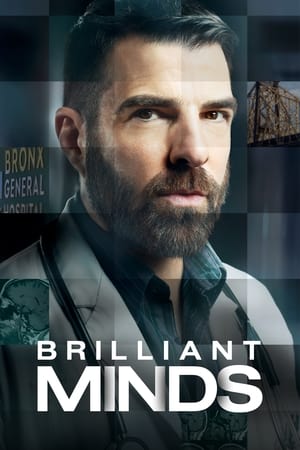 Ver Brilliant Minds