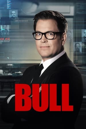 Ver Bull