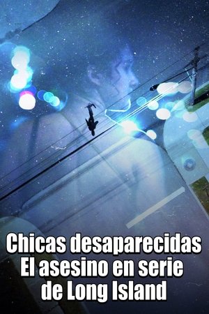 Ver Chicas desaparecidas: El asesino en serie de Long Island