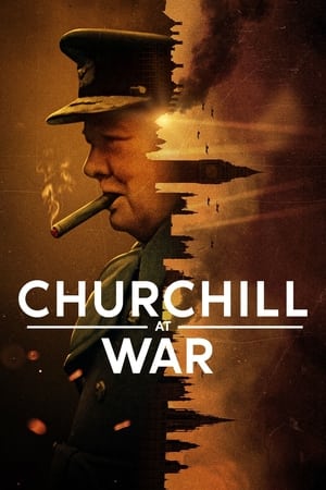Ver Churchill y la guerra