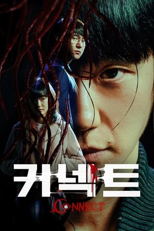 Ver Connect