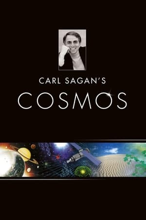 Cosmos: Un viaje personal temporada 1