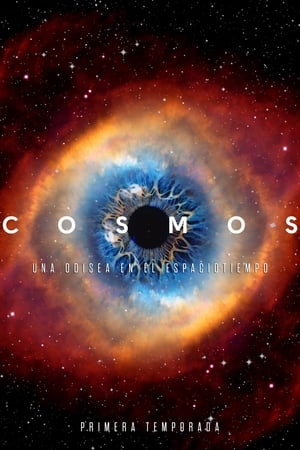 Cosmos: Una odisea en el espacio-tiempo Temporada 1