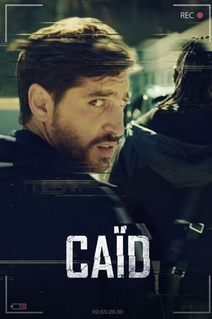 Ver Dealer