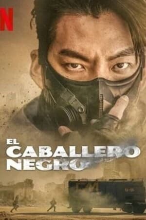 Ver El caballero negro