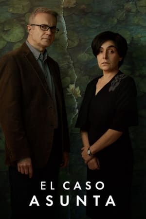 Ver El caso Asunta