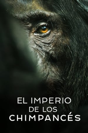 Ver El imperio de los chimpancés