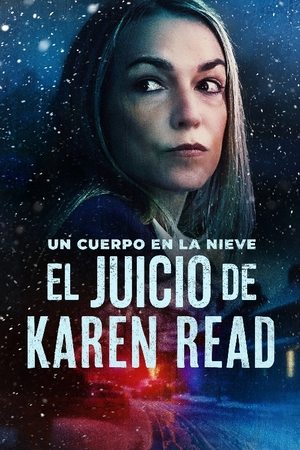 Ver El Juicio de Karen Read