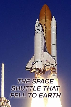 Ver El transbordador espacial que cayó a la Tierra