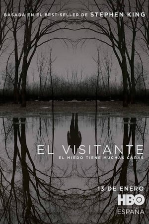 Ver El visitante