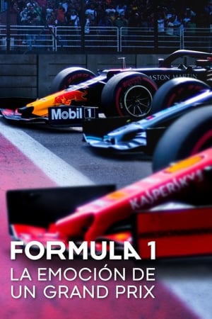 Ver Formula 1: La emoción de un Grand Prix