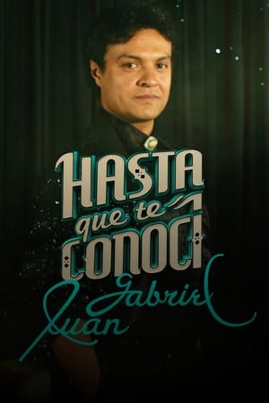 Ver Hasta que te conoci