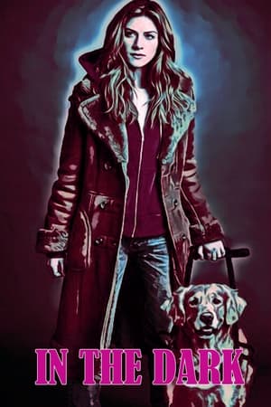 In the Dark temporada 4