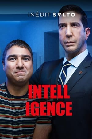 Ver Intelligence