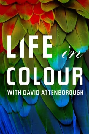 Ver La vida a todo color, con David Attenborough