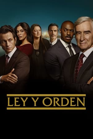 Ver Ley y orden