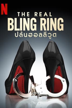 Los Bling Ring desvalijan Hollywood