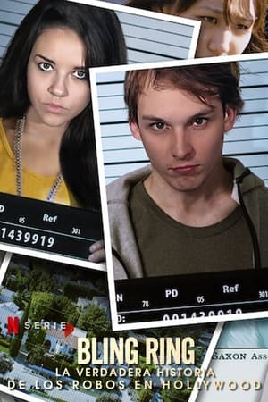 Ver Los Bling Ring desvalijan Hollywood